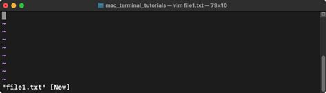 Image result for Python MA New File Create Terminal