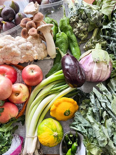 CSA Community Supported Agriculture 的图像结果