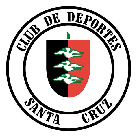Deportes Concepción Sub-14 vs Santa Cruz Sub-14 – Campeonato Chileno