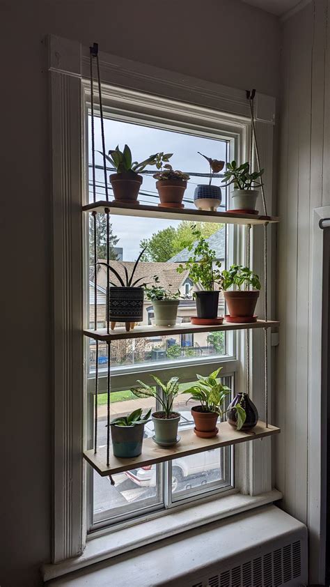 Decorating shelves with bloom | Window plants, Window plant shelf, Room with plants