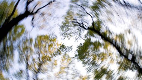 Pill Finder: G 32 500 Orange Capsule-shape - Medicine.com