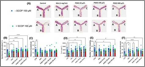 Investigating the Potential of Essential Oils from Citrus reticulata ...