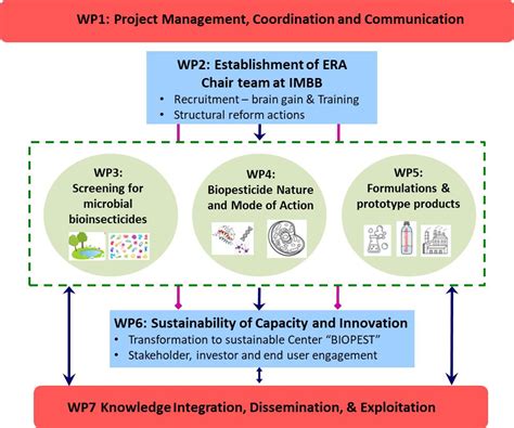 Image result for Example of a Project Work Package