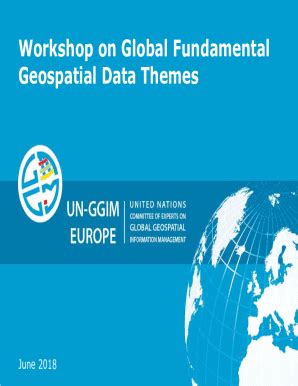 Fillable Online Workshop on Global Fundamental Geospatial Data Themes ...