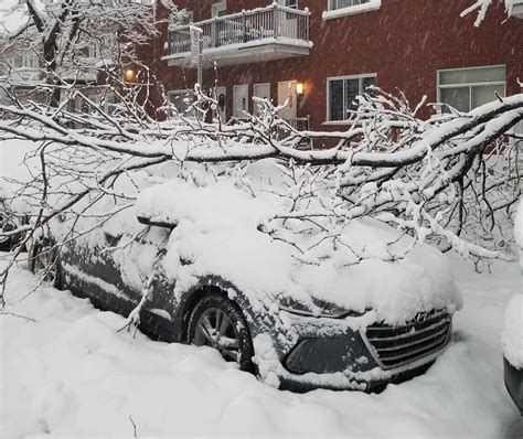 Winter storm slams Montreal region with 30cm of snow | Suburban Weather | thesuburban.com