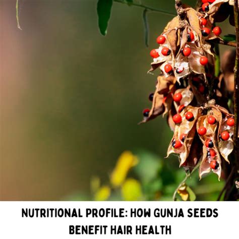 Gunja Seeds for Hair Health: Benefits and How to Use Them | Clinikally