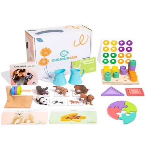 Curious Cub Montessori Box - 19 Months + (Level- 9) — Toycra