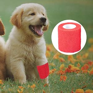 Buy Qpets® 9 Pcs Crepe Bandage Tattoo Grip Nail Finger Protection wrap ...