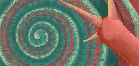 Digital Library of Stories for Kids | Stories | Storyweaver