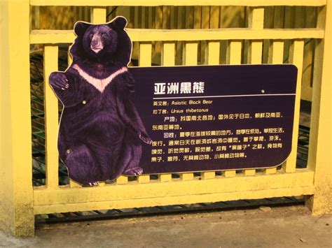 2021南京红山森林动物园志愿者有哪些要求_旅泊网