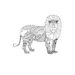 Image result for WP Spring Code