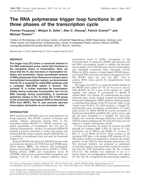 RNA Transcript Loop 的图像结果