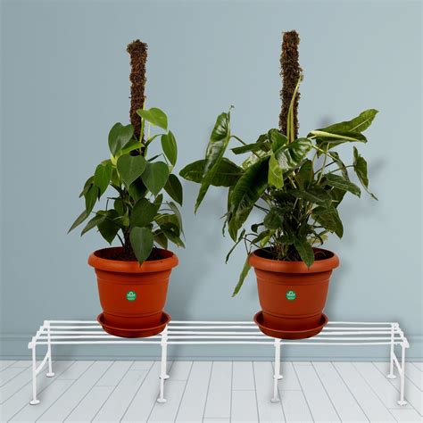 Indigo Planter Stand ( White ) – TrustBasket