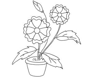 Flowers pictures for coloring