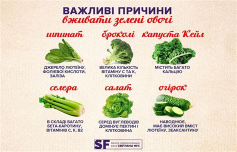 Зеленые овощи: почему они так полезны — Здоровый образ жизни