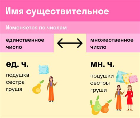 Число Имен Существительных - Множественное и Единственное