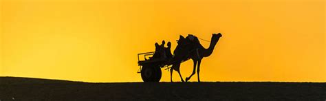 Mallak Chemicals-phthalocyanine pigments manufacturer,Pigment Blue ...