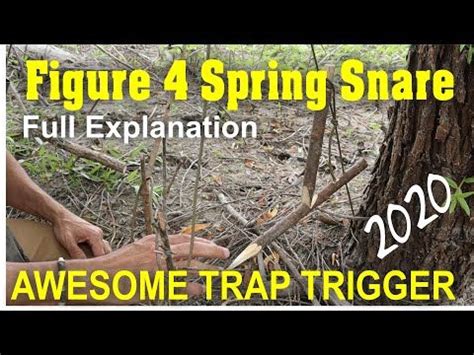 Spring Snare Trigger 的图像结果
