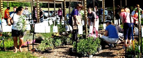 The Oakland Gardener - June 2017