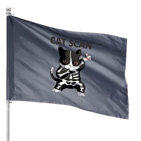 Image result for Rad Cat Scan