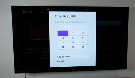 Roku Pin Number Explained 的图像结果