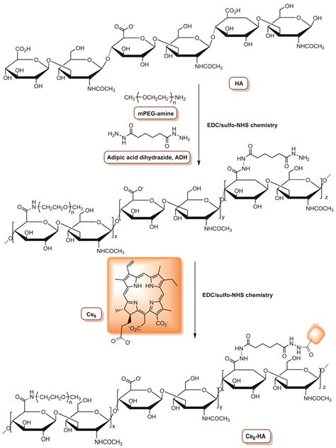 Current Photoactive Molecules for Targeted Therapy of Triple-Negative ...