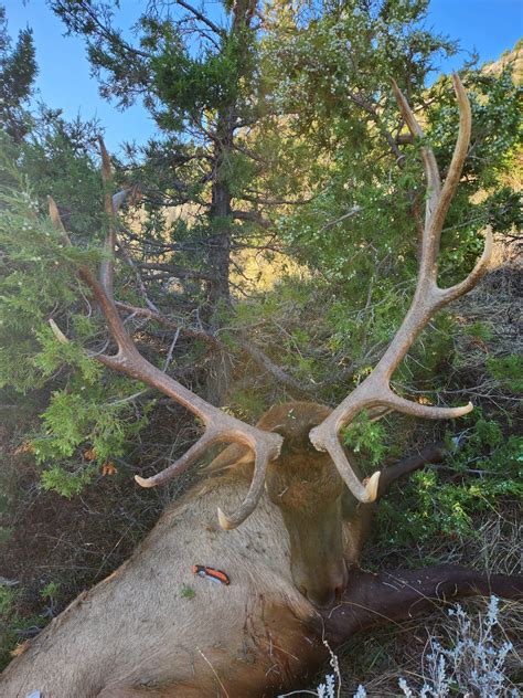 Image result for Hammer Bullets.com