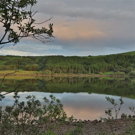 Reykjavik (Iceland) Explored: 9 Must-See places for adventures and ...