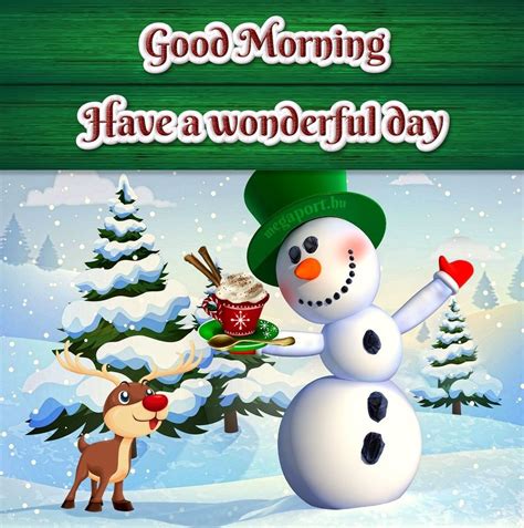 Pin by TISHA on Morning | Good morning christmas, Christmas decorations ...