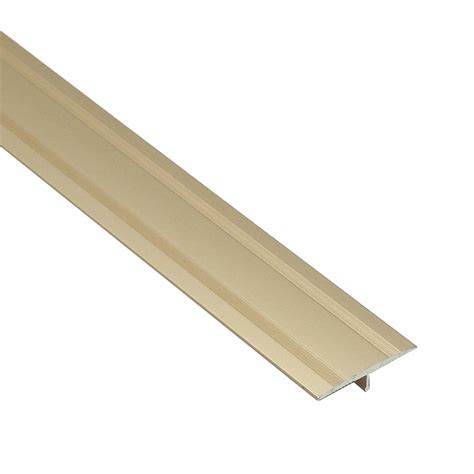 T Molding Transition Strip Carpet To Tile Floors Edge Trim | Desertcart ...