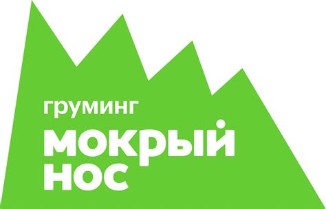 Мокрый нос, груминг-салон в Советском районе в Новосибирске - отзывы ...