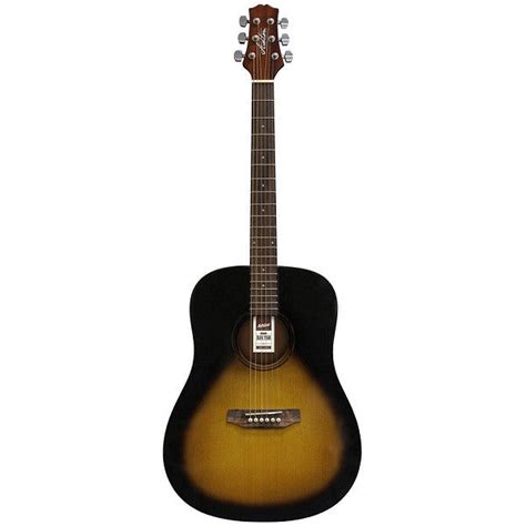 Ashton D20 TSB Acoustic Guitar – BAJAAO.COM