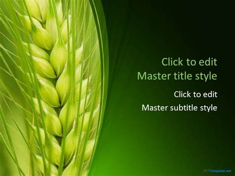 Agriculture Ppt Background 的图像结果