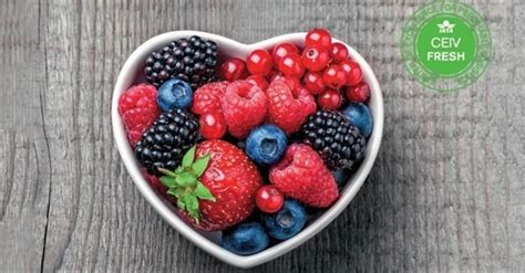 Cathay Pacific Services Limited recognised for perishables handling ...