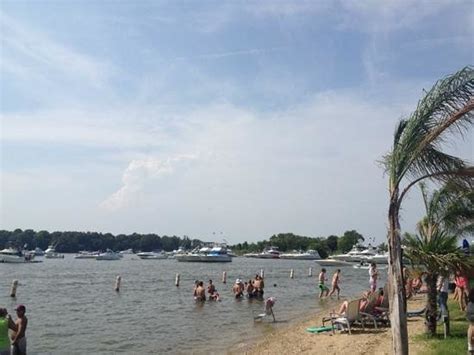 Great climax to my day - Reviews, Photos - jellyfish joel's - Tripadvisor