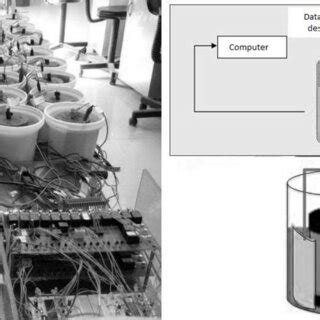 Image result for Induced Current Experiment