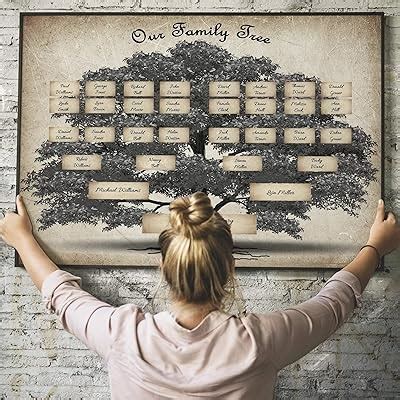 Fir ceda Family Tree Chart 6 Generation Genealogy Poster, to India | Ubuy