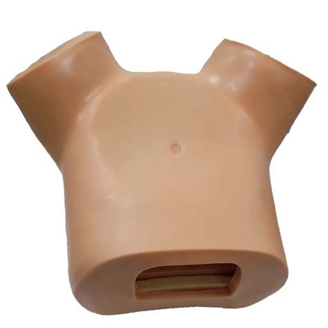 Gynecological Manikin - Gynecological Examination Model Manufacturer ...