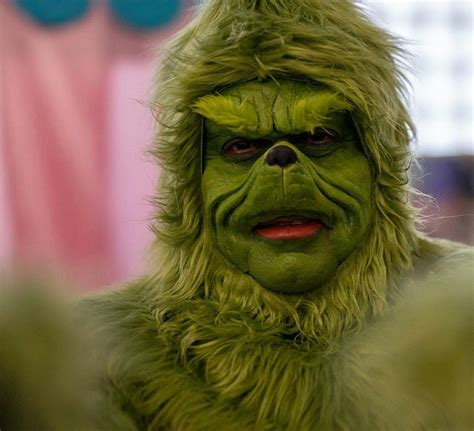 Photos with The Grinch Holiday Event, 608 S Washington St, Naperville ...