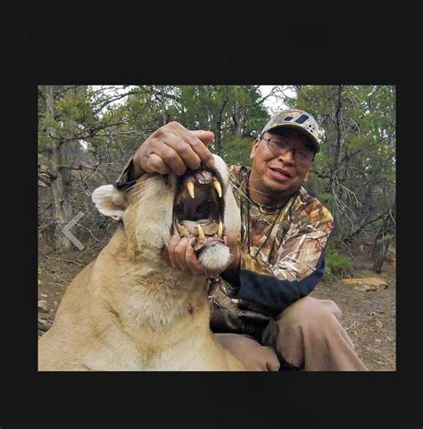 A 209 lb/94.8 kg male cougar in Arizona. This monster was strictly ...
