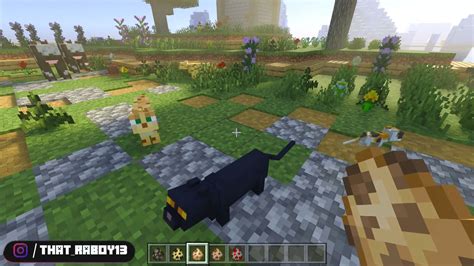 Better Animations Mod 的图像结果