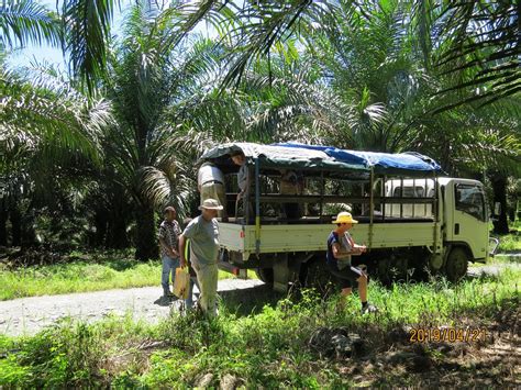 KOKODA HISTORICAL - All You Need to Know BEFORE You Go 2026 (with ...
