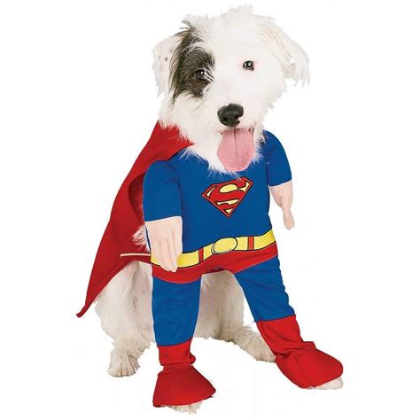 Superman Dog Costume Xxl at Victoria Jenkins blog