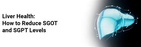 Liver Health: How to Reduce SGOT and SGPT Levels