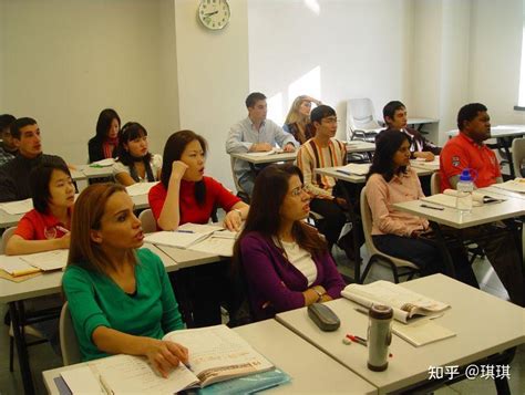 我校与郑州大学留学生开展中原传统文化交流活动-河南职业技术学院