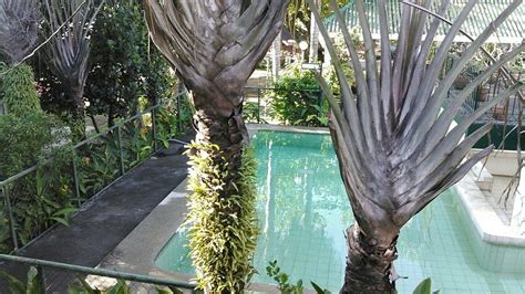 TALISAY GREEN LAKE RESORT (Batangas/Batangas City) - Resort Reviews ...