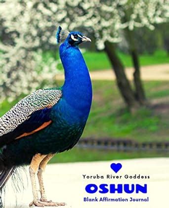 Love Oshun: Yoruba River Goddess Journal with Daily Affirmations ...