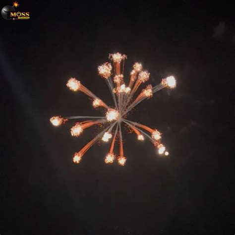 Image result for 16 Fireworks Shell