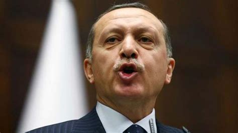 土耳其总统宣布修宪草案在全民公投中获得通过|土耳其|埃尔多安|修宪_新浪新闻