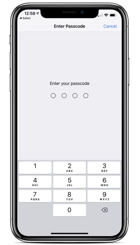 Image result for iPhone X Passcode Screen